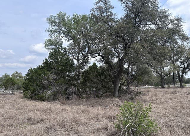 rental at 318 Serenity Pass in Spring Branch, TX — photo 5