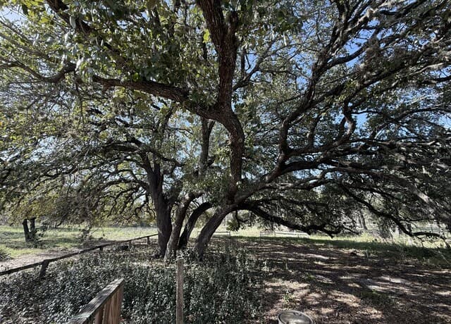 rental at 21480 Applewhite in San Antonio, TX — photo 1