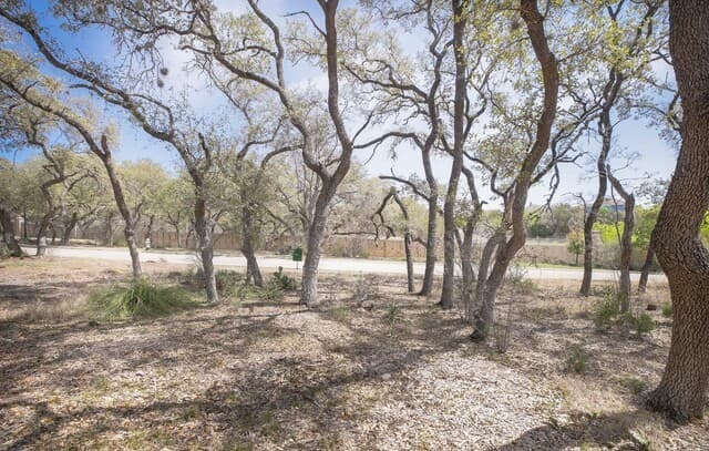 rental at 79 Percival in San Antonio, TX — photo 1