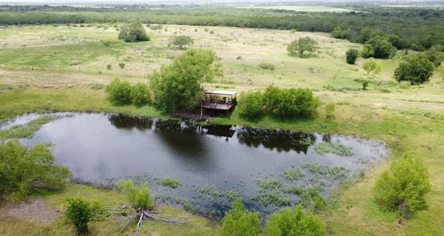 4-bedroom rental at 900 N Graytown Road in St Hedwig, TX — photo 5