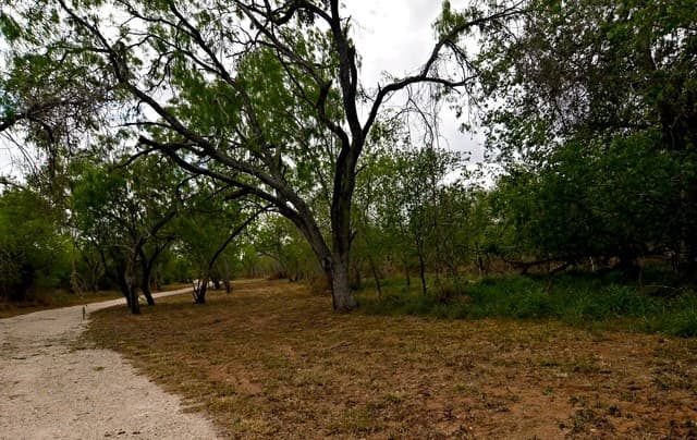 rental at 101 Alfredo in Floresville, TX — photo 4