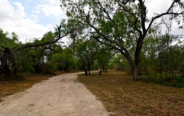 rental at 101 Alfredo in Floresville, TX — photo 5