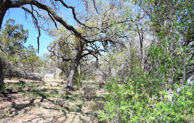 rental at 1361 Hidden Valley in Spring Branch, TX — photo 1
