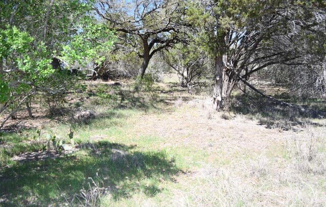 rental at 1361 Hidden Valley in Spring Branch, TX — photo 3