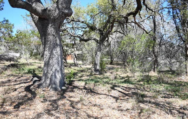 rental at 1361 Hidden Valley in Spring Branch, TX — photo 4