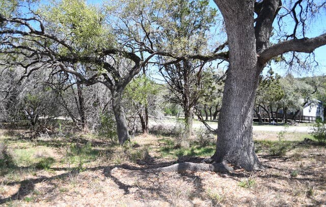 rental at 1361 Hidden Valley in Spring Branch, TX — photo 5