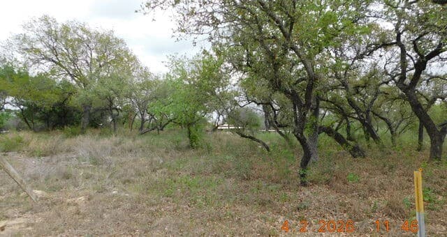 rental at 000 N State Highway 16 in Poteet, TX — photo 4