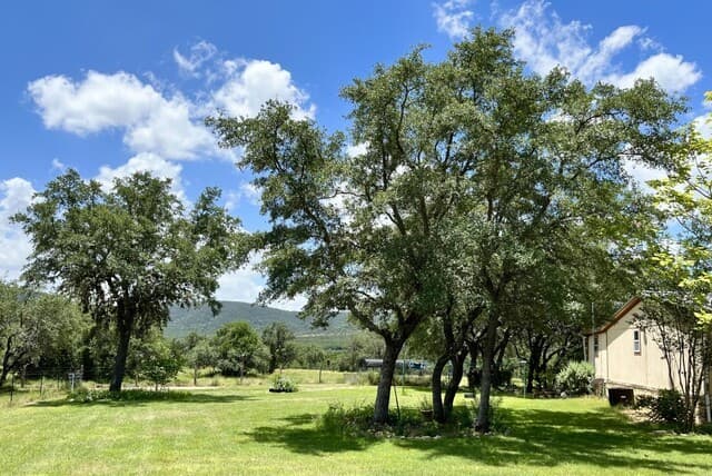 3-bedroom rental at 3187 County Road 361 in Utopia, TX — photo 2