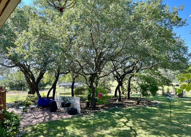 3-bedroom rental at 3187 County Road 361 in Utopia, TX — photo 5