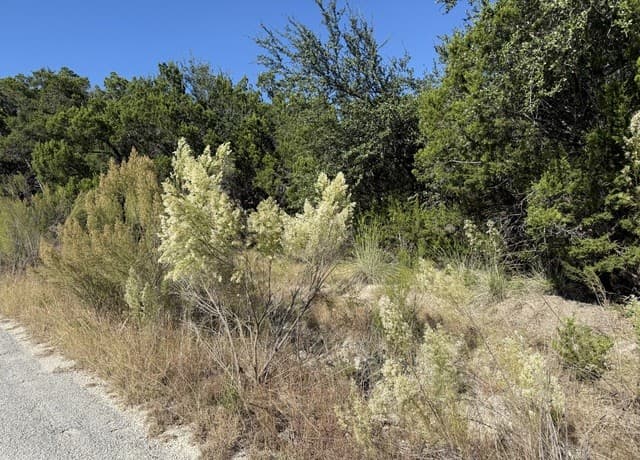rental at LOT 37 Golf Course Dr. E in Spring Branch, TX — photo 2