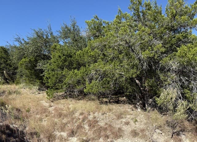 rental at LOT 37 Golf Course Dr. E in Spring Branch, TX — photo 3