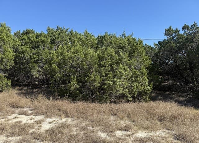 rental at 1503 Lake in Spring Branch, TX — photo 4