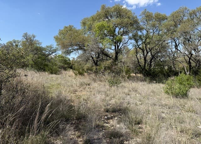 rental at L28 Lipan Apache Run in Blanco, TX — photo 3