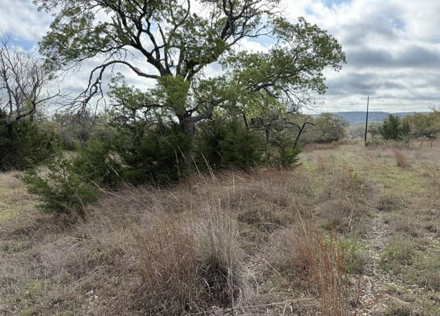 rental at L28 Lipan Apache Run in Blanco, TX — photo 5