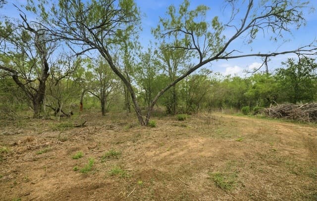 rental at 2128 Martinez Losoya in San Antonio, TX — photo 5