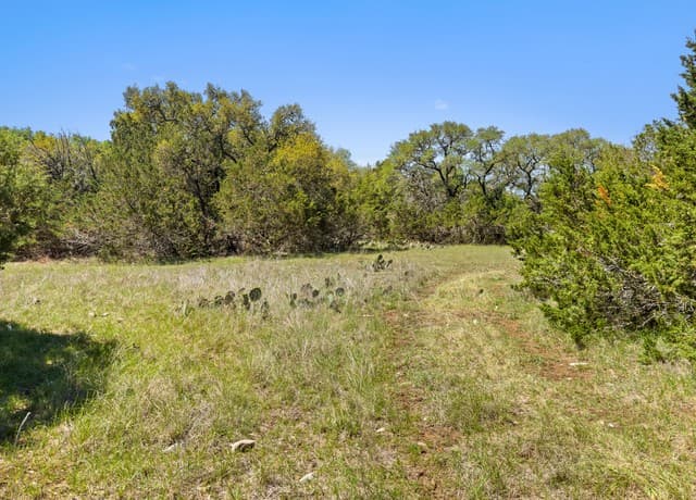 rental at 1510 Misty Lane in Spring Branch, TX — photo 3