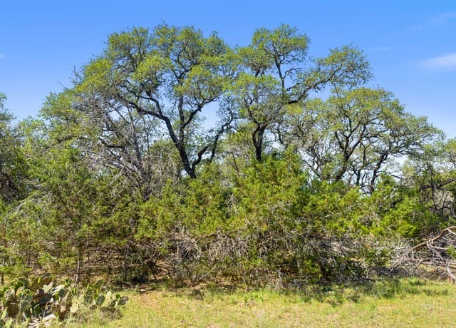 rental at 1530 Misty Lane in Spring Branch, TX — photo 1