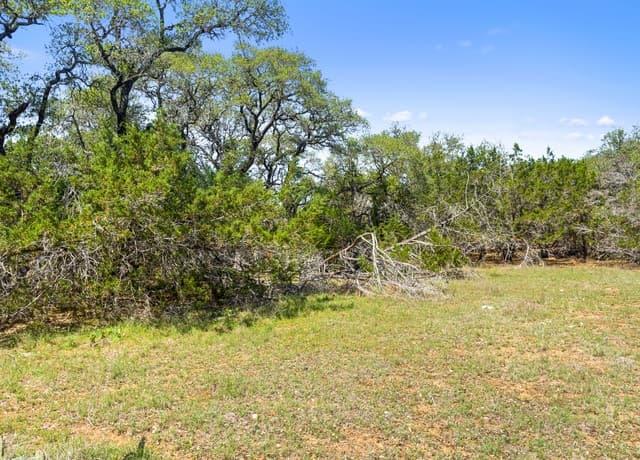 rental at 1530 Misty Lane in Spring Branch, TX — photo 2
