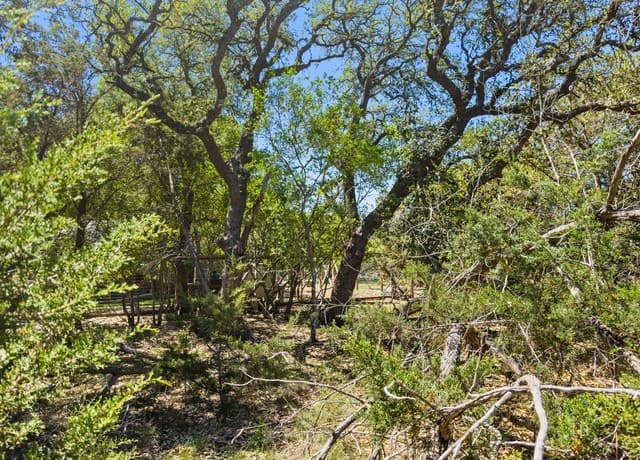 rental at 1530 Misty Lane in Spring Branch, TX — photo 5