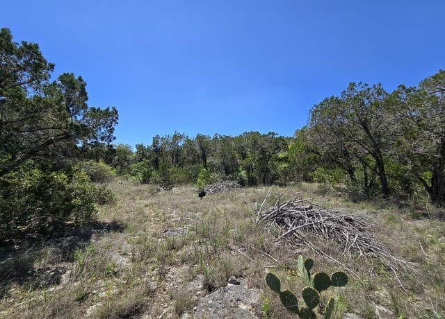 rental at 102 County Road 2732 in Mico, TX — photo 3