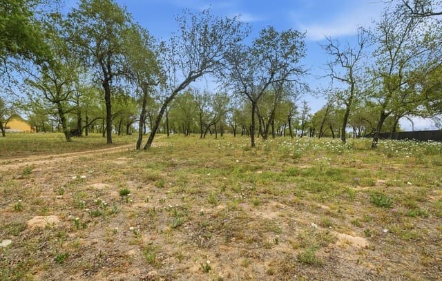rental at 970 Stevens Rd in Somerset, TX — photo 4