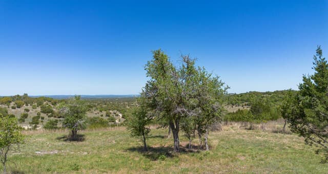 rental at 2089 Sanctuary Ln in Blanco, TX — photo 3