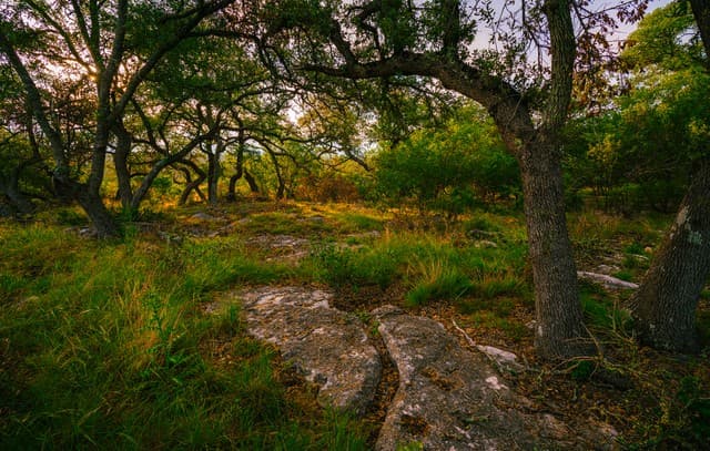 rental at 000 Rambling Oaks Ranch in Spring Branch, TX — photo 1