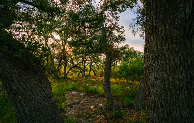 rental at 000 Rambling Oaks Ranch in Spring Branch, TX — photo 4