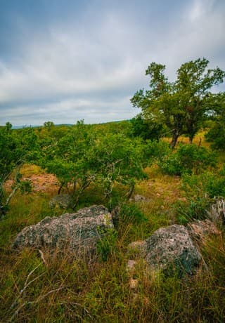 rental at 000 Rambling Oaks Ranch in Spring Branch, TX — photo 5
