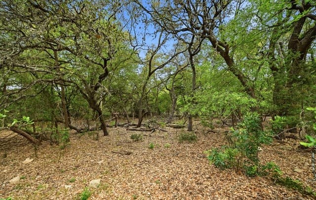 4-bedroom rental at 15 Villa Verde in San Antonio, TX — photo 4
