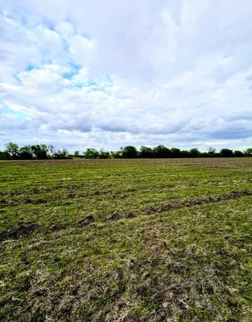 rental at 3171 Lower Seguin in Marion, TX — photo 1