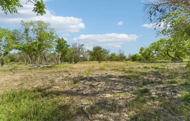 rental at 2328 E Chavaneaux in San Antonio, TX — photo 3