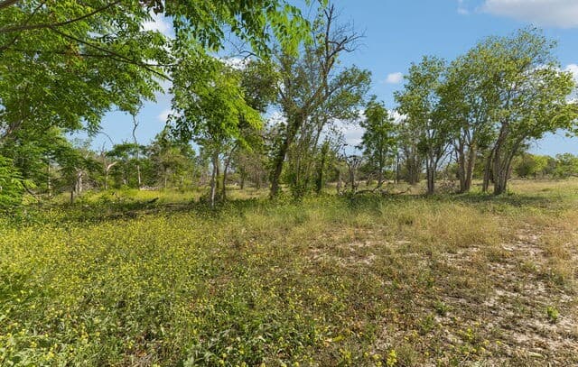 rental at 2328 E Chavaneaux in San Antonio, TX — photo 4