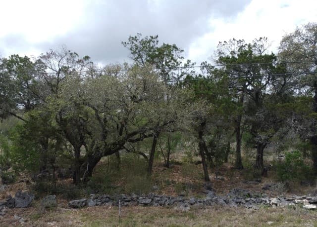 rental at 0 Tbd in Spring Branch, TX — photo 4