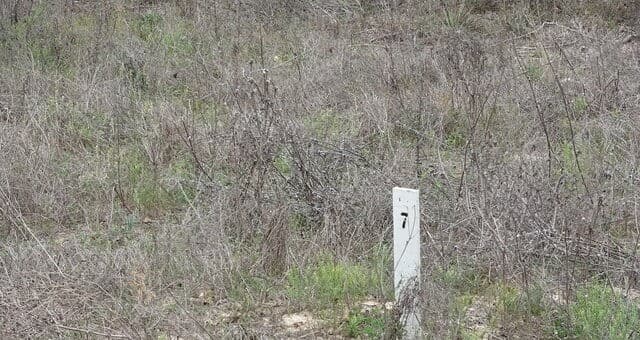 rental at 22823 Cherry Rock in Elmendorf, TX — photo 1