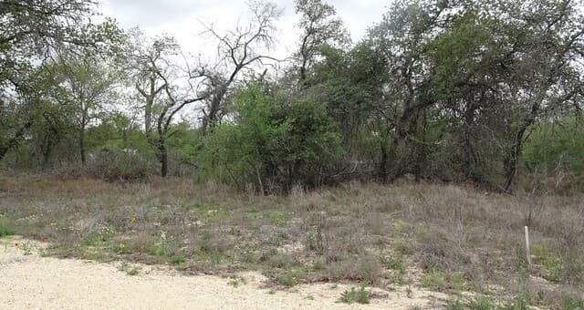 rental at 22823 Cherry Rock in Elmendorf, TX — photo 2