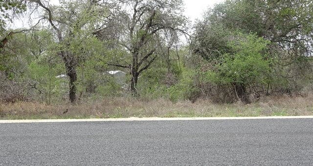 rental at 22823 Cherry Rock in Elmendorf, TX — photo 3