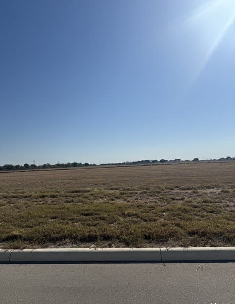 rental at 213 Reed Way in Castroville, TX — photo 3