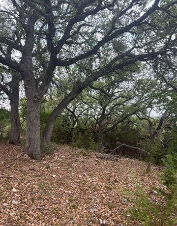 rental at LOT 76 Sunriver in Boerne, TX — photo 4