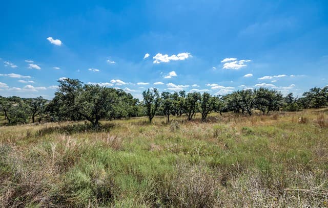 rental at 190 Fallen Acorn Dr in Blanco, TX — photo 1