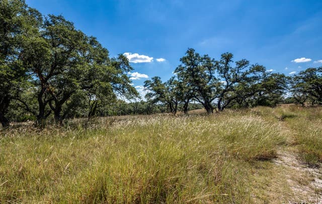 rental at 190 Fallen Acorn Dr in Blanco, TX — photo 2