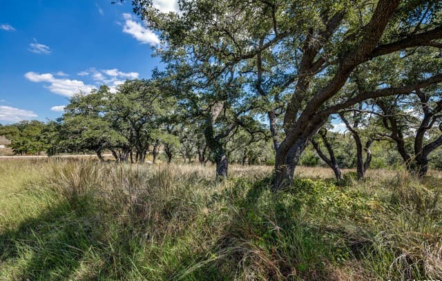rental at 190 Fallen Acorn Dr in Blanco, TX — photo 3