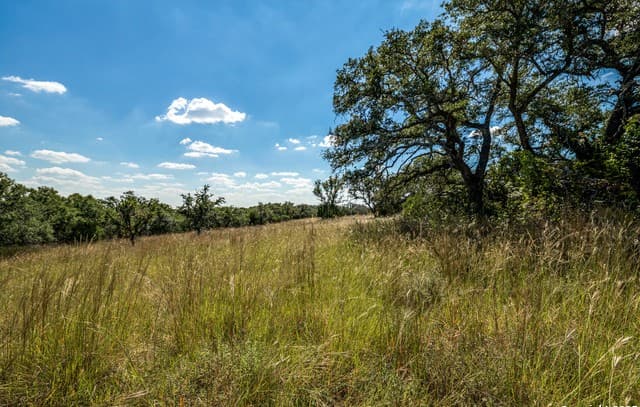 rental at 190 Fallen Acorn Dr in Blanco, TX — photo 4