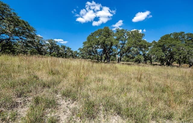 rental at 190 Fallen Acorn Dr in Blanco, TX — photo 5