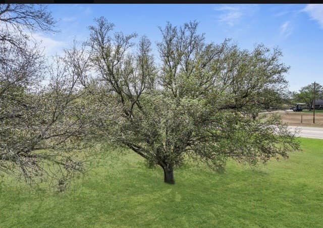 rental at 1900 Chukar St in Floresville, TX — photo 2