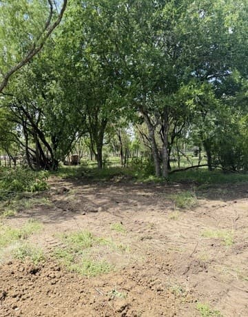 rental at 0 Trumbo in San Antonio, TX — photo 3