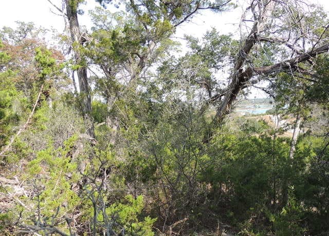 rental at 1203 Mystic Pkwy in Spring Branch, TX — photo 4