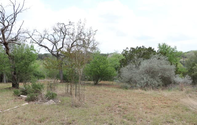 2-bedroom rental at 1307 Comanche Path in Bandera, TX — photo 4