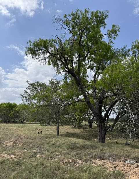 rental at 00 County Road 405 in Floresville, TX — photo 1