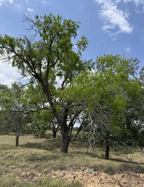 rental at 00 County Road 405 in Floresville, TX — photo 2